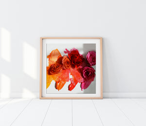 Painted Roses Photo Print
